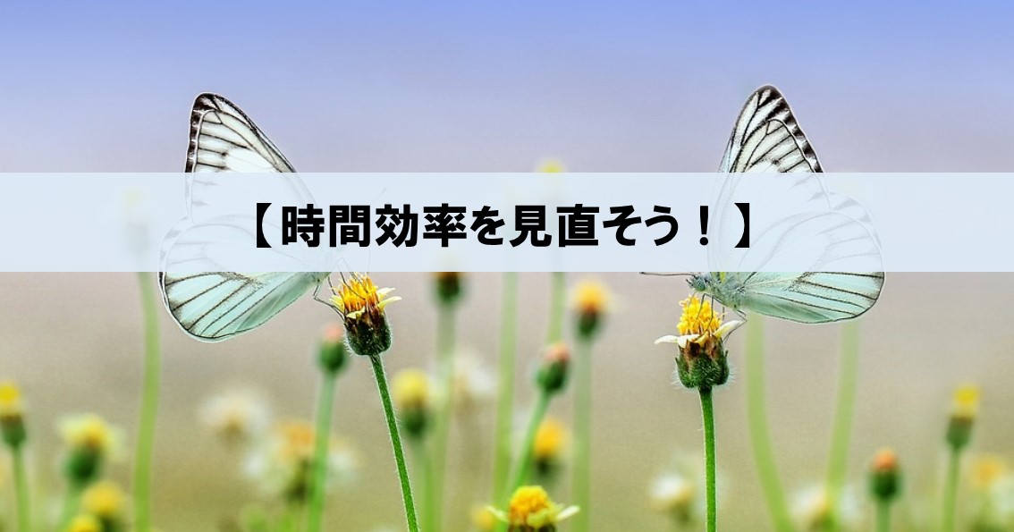 時間効率を見直そう 君にはもうそんなことをしている時間は残されていない ネルの寝るより読書ログ