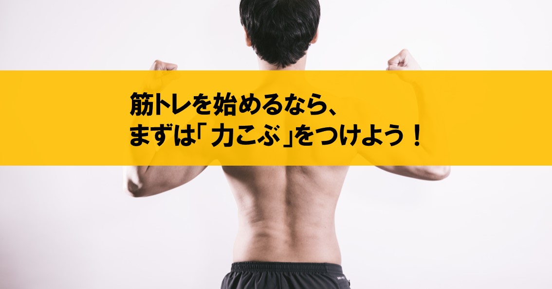 筋トレ初心者は力こぶをつけよう 人生の99 9 の問題は筋トレで解決できる ネルの寝るより読書ログ