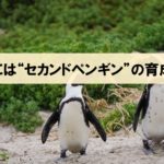 日本はリーダーより、セカンドペンギンの育成を！『世界観をつくる』より_アイキャッチ画像